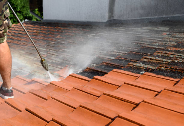 Deck Cleaning Services in Iola, WI